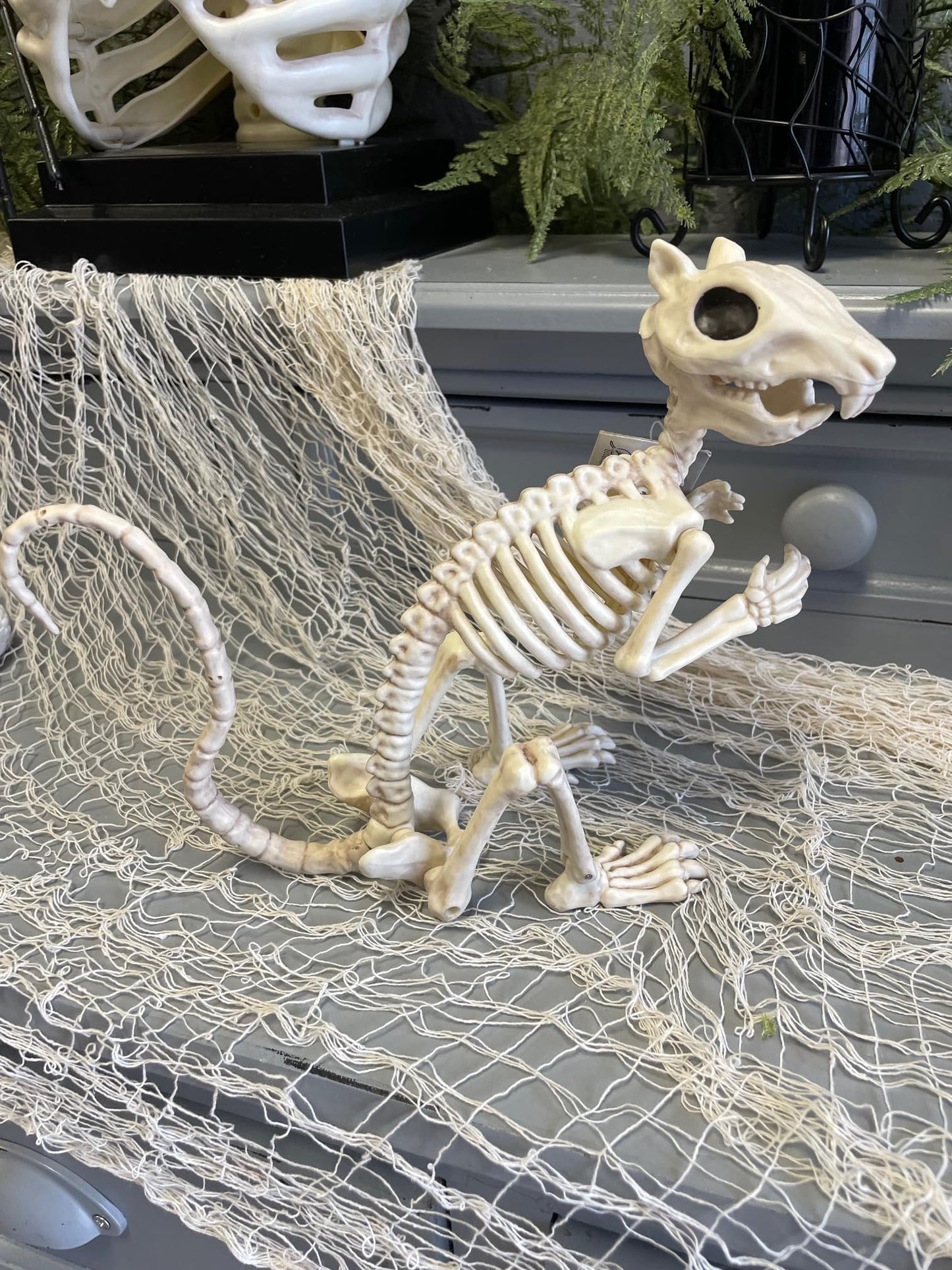 Crazy Bonez Skeleton Squirrel - Plastic Decoration - Bone Color - Model W81310