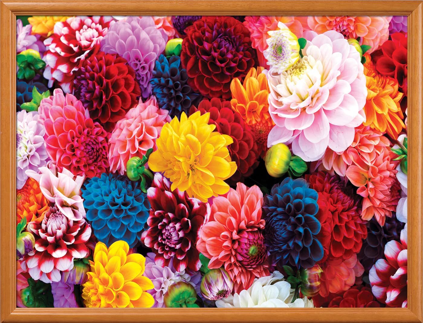 MasterPieces 550 Piece Jigsaw Puzzle - Beautiful Blooms - 18"x24" - Paper - Model 81454