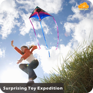 Orgcldkt Rainbow Cruiser Delta Kite-Violet Votex, Kites For Adults,Kites For Kids, Ages 8-12,Ages 4-8,Ages 3-5,Easy To Fly,Beach