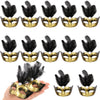 12 Pcs Mini Mardi Gras Mask, Small Masquerade Masks Bulk for Mardi Gras Decorations Feather Eye Masks for Women Mardi Gras Party