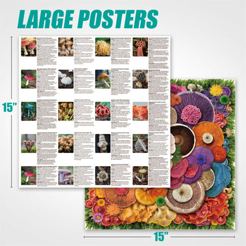 Antelope - 1000 Piece Puzzle For Adults, Mushroom - Jigsaw Puzzles 1000 Pieces, High Resolution, Matte Finish, No Dust