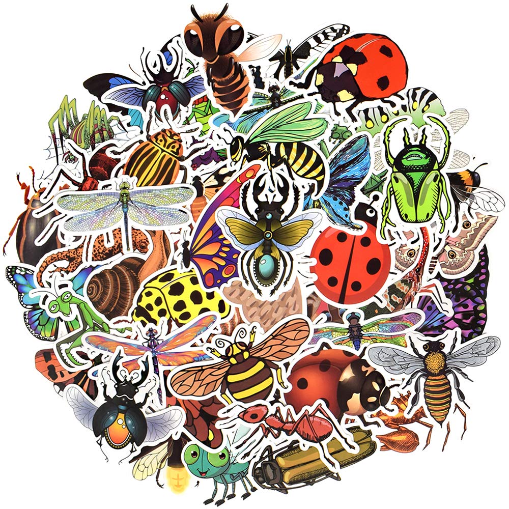 Qtl Bug Stickers Insect Stickers For Kids Insect Stickers For Water Bottle Stickers For Boys And Girls Teens Waterproof Vinyl St