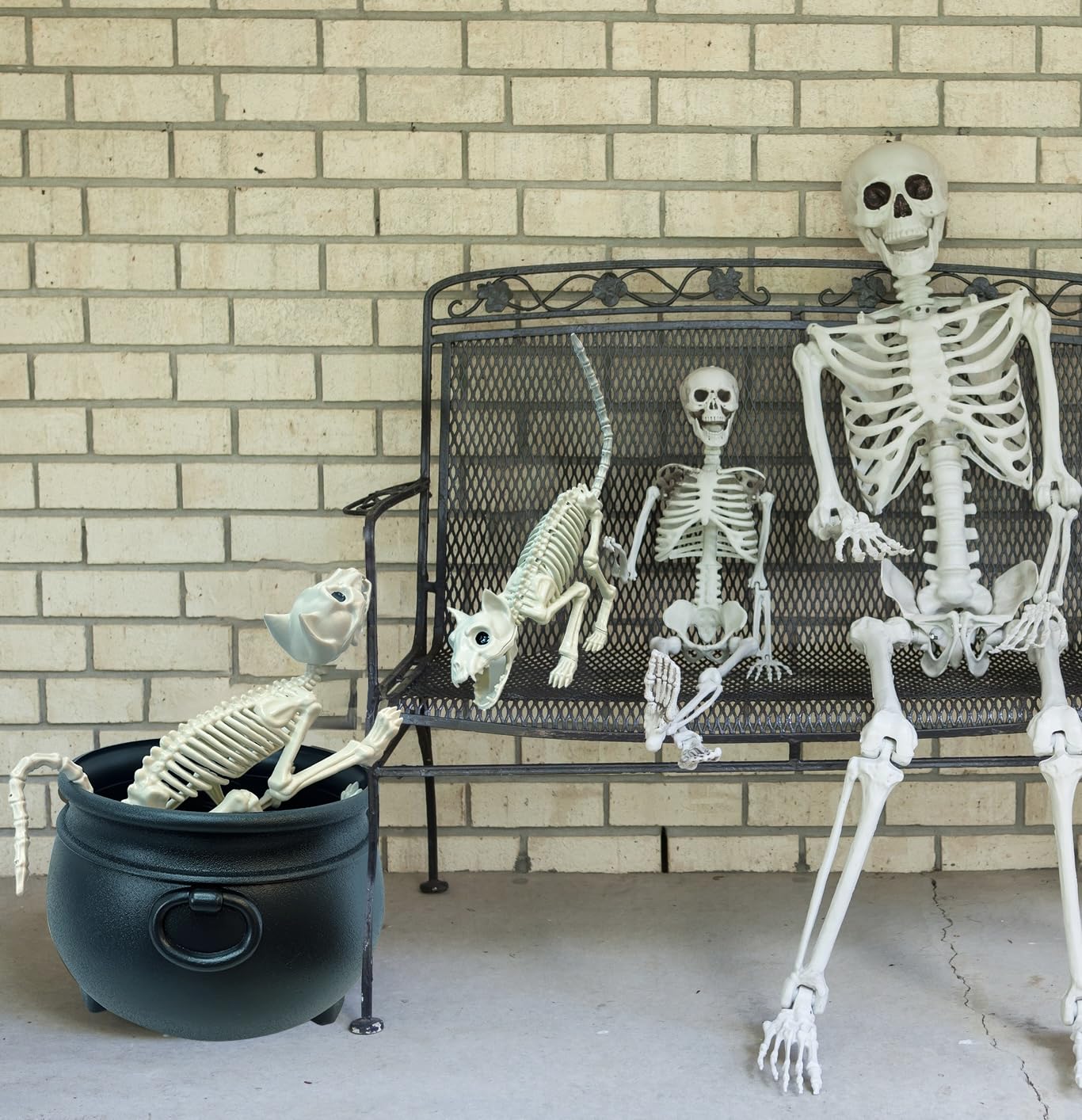 Giftexpress 2 Pack Real Size Cat Skeleton - 20'' Long Creepy Kitten Skeletons With Posable Tail Halloween Decor - Indoor & Outdo