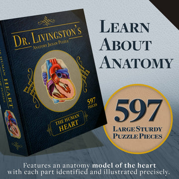 Dr. Livingston'S Human Heart Anatomy Puzzle - A Medically Accurate Jigsaw Puzzle Of The Heart Section - Educational Organ Puzzle