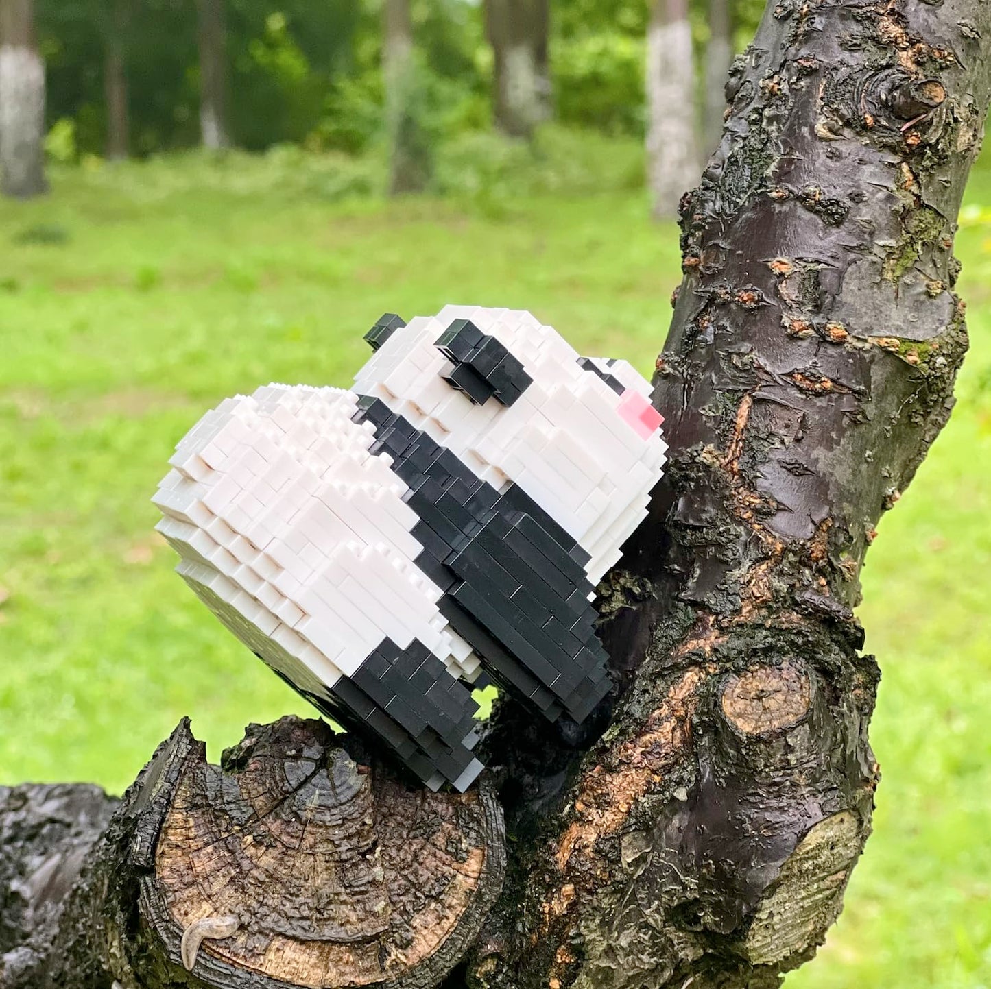 Coplanaire Flower Panda Mini Building Blocks, 983 Pcs Micro Animal Building Toy Bricks For Girls Boys And Adults