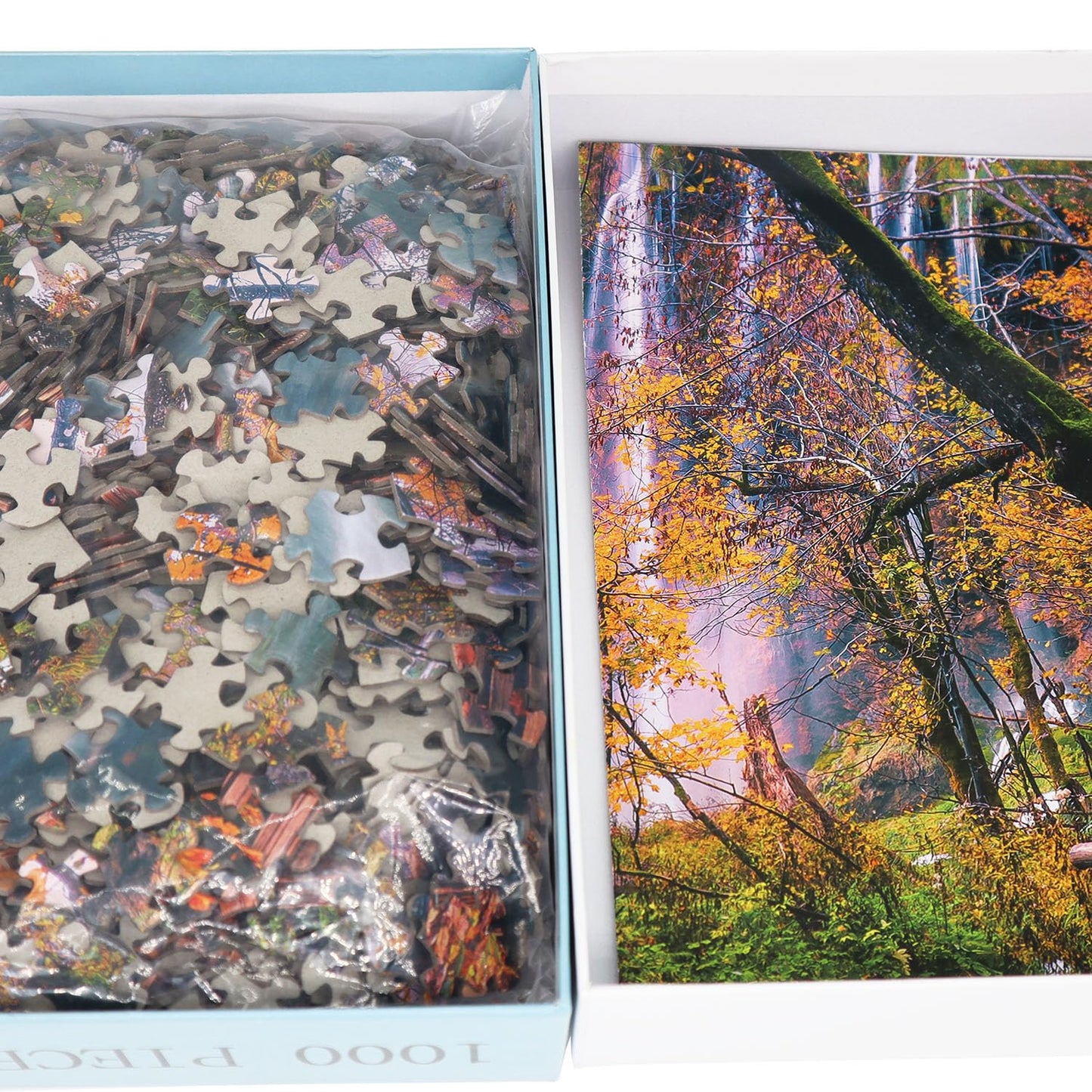 Beduke Jigsaw Puzzles For Adults 1000 Pieces Family Game Autumn Forest 1000 Piece Puzzle Thick Sturdy Precise Interlocking Age 14+