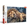 Trefl 1000 Piece Sleeping Lion Jigsaw Puzzle 27"x19", Multicolor, DIY Fun for Ages 12+