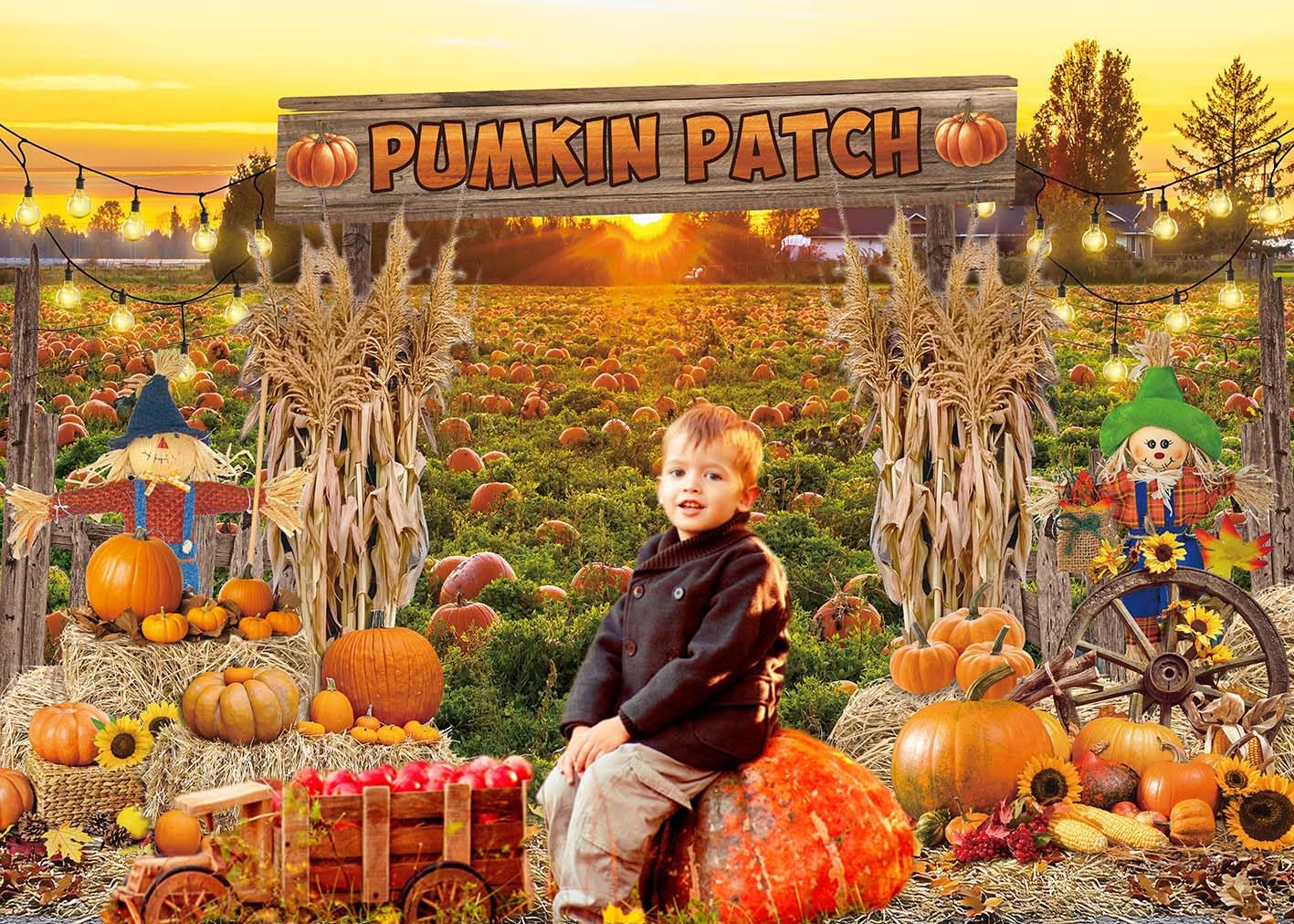 Fall Pumpkin Patch Backdrop Banner Pumpkin Patch Harvest Photography Background Fall Autumn Thanksgiving Party Decorations Photo