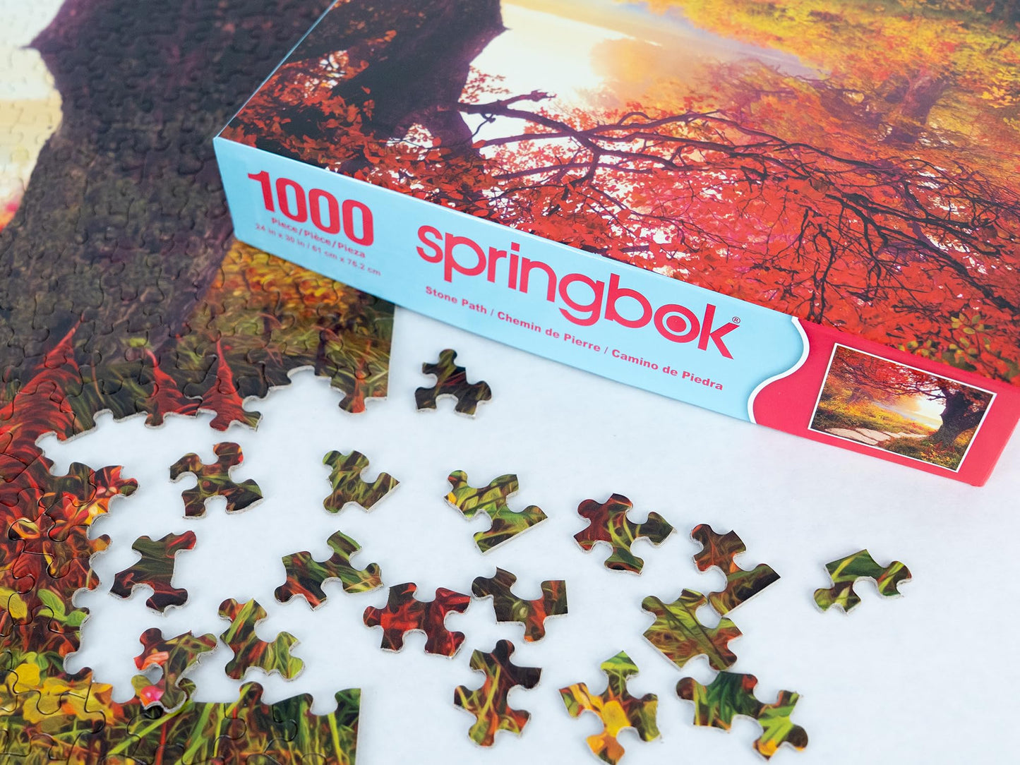 Springbok'S Stone Path 1000 Piece Jigsaw Puzzle Is A Mezmorizing Image For Puzzlers Looking For A Tranquil Escape