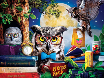 Masterpieces 300 Piece EZ Grip Jigsaw Puzzle - Night Owls Study Group - 18x24