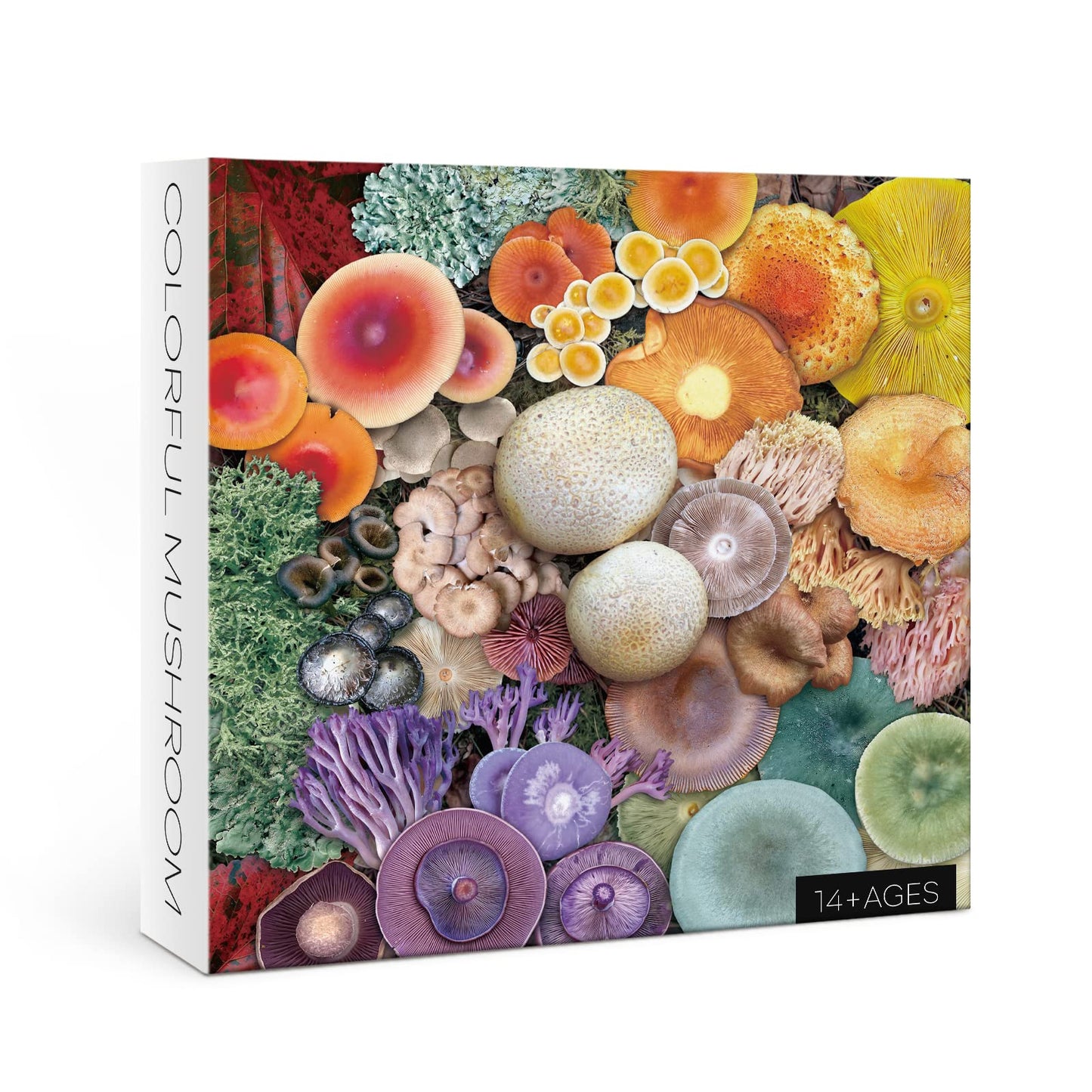 Mushroom Puzzle 1000 Piece Puzzle For Adults, Colorful Mushroom Jigsaw Puzzles, Shrooms In Bloom Toadstool Nature Plant Puzzle Rainbow Fungi Puzzles