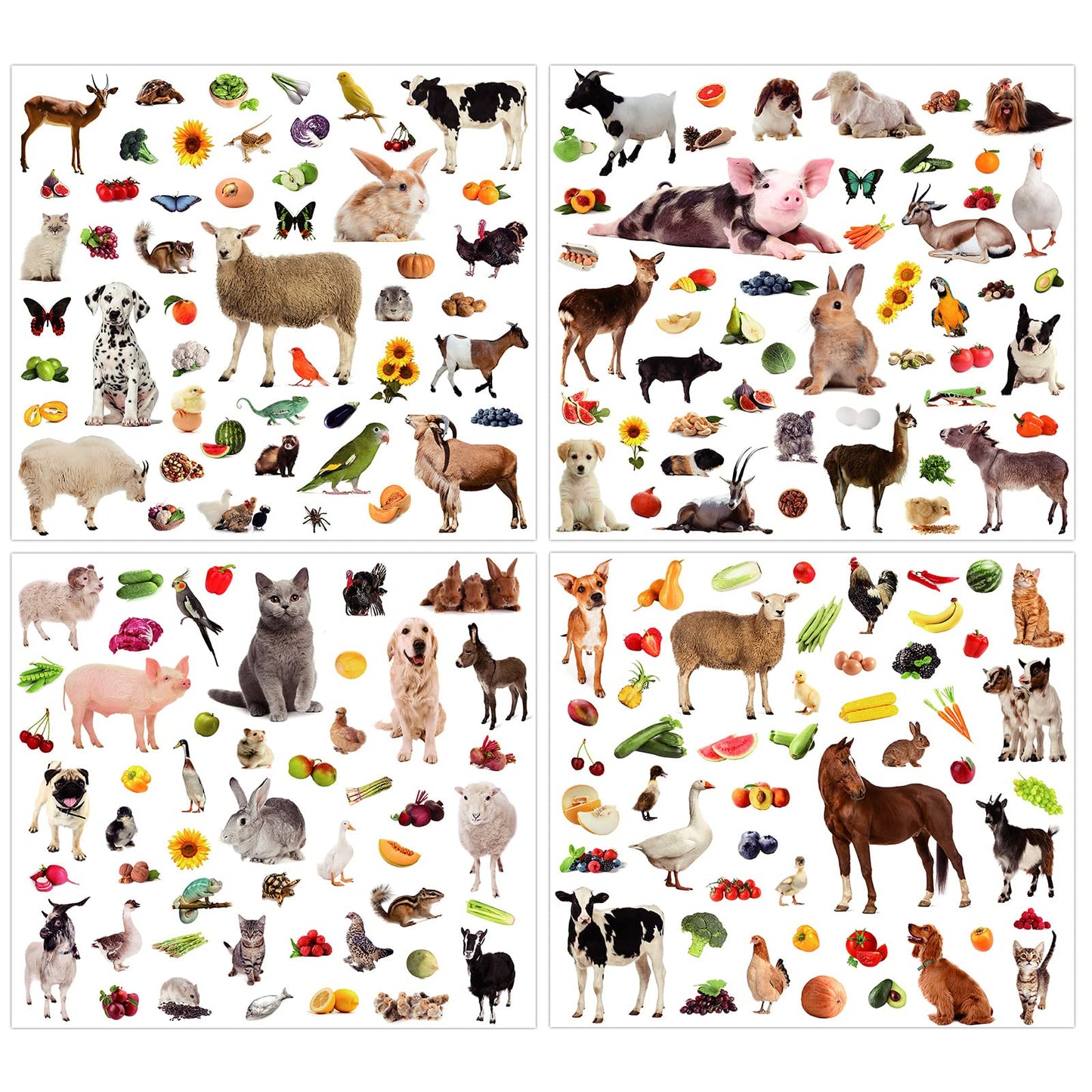 800 Pieces Jungle Animal Stickers Realistic Zoo Animal Stickers Safari Animal Stickers Sea Animal Stickers For Water Bottle Scrapbook Class Rewards Sea Animal Party Supplies (Farm Animal)