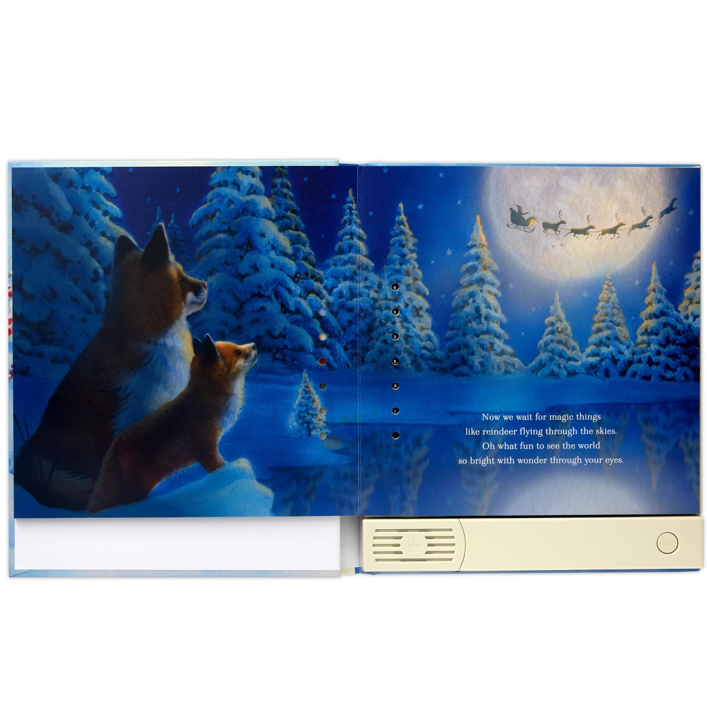 Hallmark Recordable Book For Children (A Christmas Wish For My Grandchild)