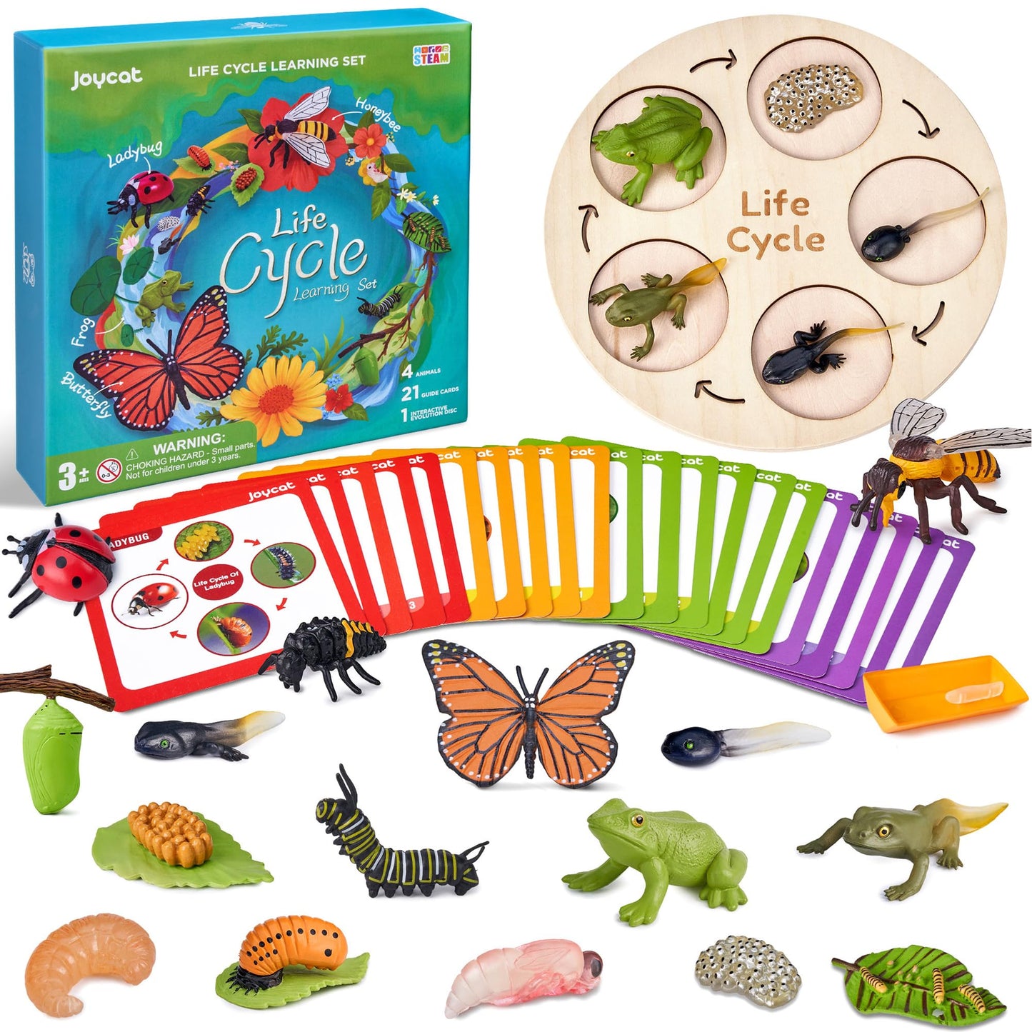 Joycat Life Cycle Learning Education Toys, Insect Caterpillar To Butterfly Kit, Ladybug, Bee, Tadpole To Frog Kit Life Cycle Toys For Kids, Preschool Learning Activities For Age 3 4 5 6 7 8