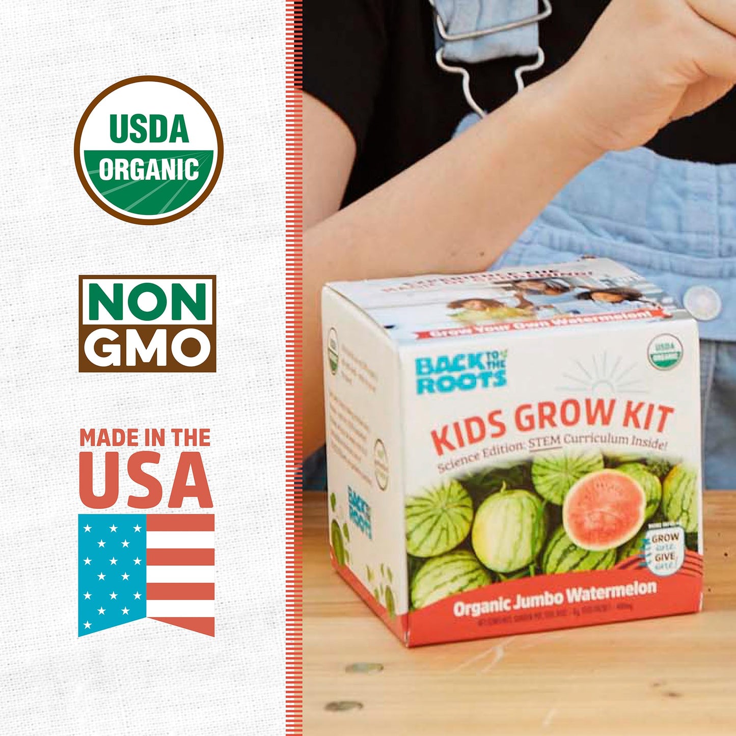 Back To The Roots Kids Science Grow Kit 2Ct - Watermelon And Sunflower