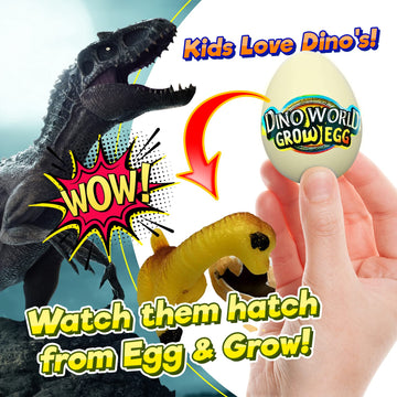 JA-RU Dino World Hatching Dinosaur Eggs Water Growing Toys for Kids (1 Egg) Surprise Dino Egg. Educational Science Toys. Bulk Di