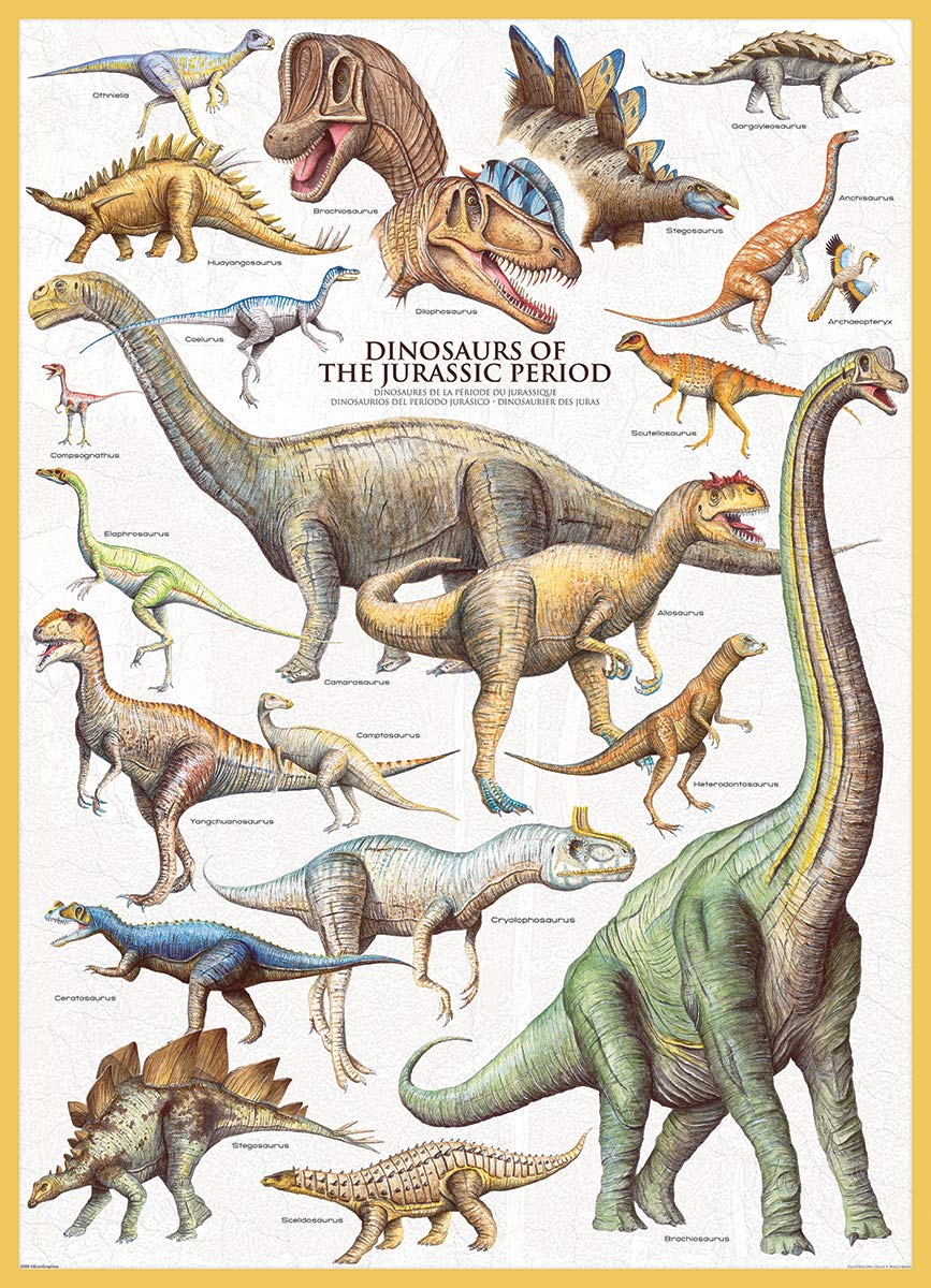 Eurographics Dinosaurs Jurassic 1000 Piece Puzzle (6000-0099)