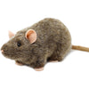 TigerHart 7 Inch Reuben The Rat Plush Mouse - White Acrylic Stuffed Animal