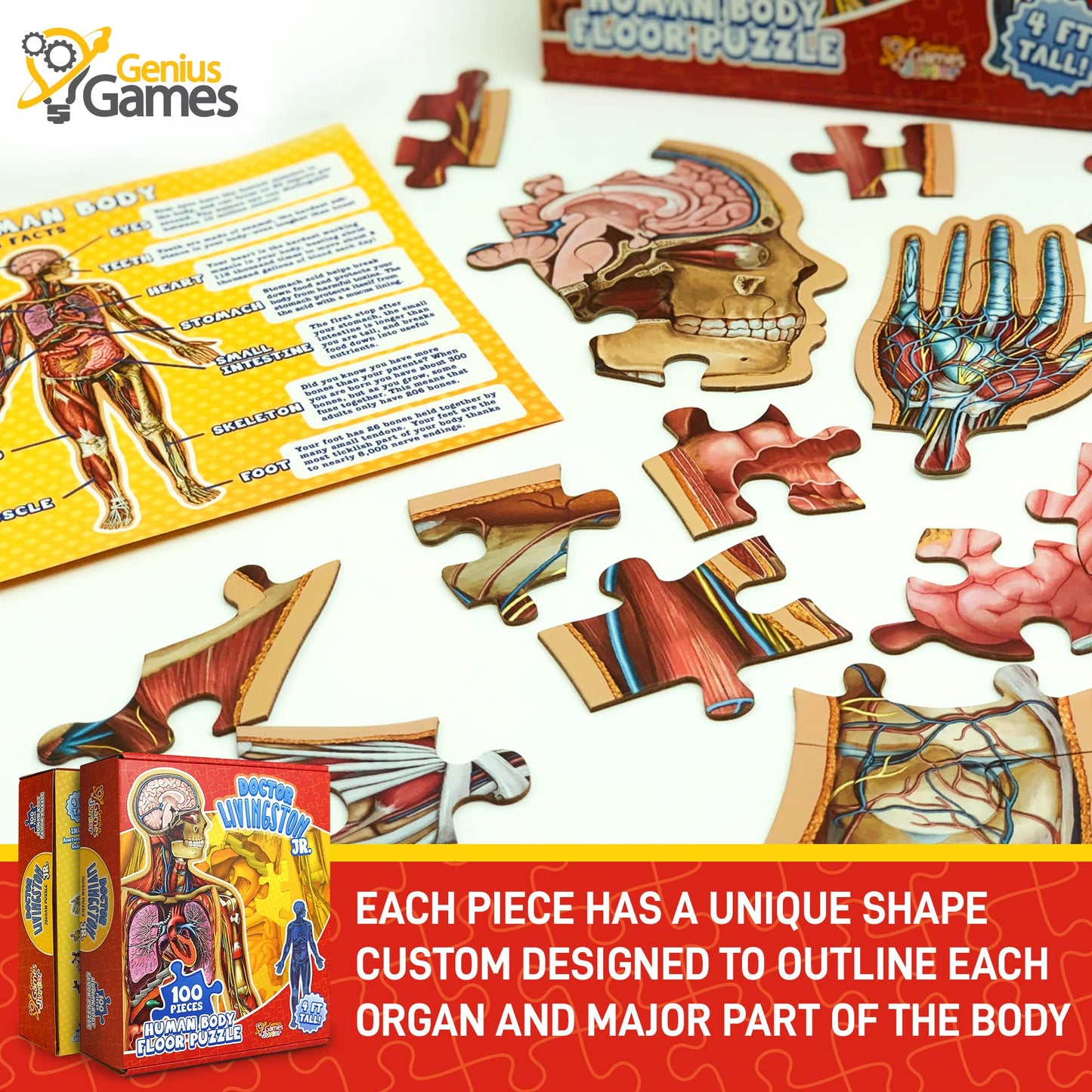 Human Anatomy Kids Floor Puzzle - Dr Livingston Jr'S 100-Piece Full Body Jigsaw Puzzle - 4 Ft Medically Accurate Floor Puzzles For Kids Ages 6-8, 4-8, 8-10 - Educational Toys For Children, Toddlers