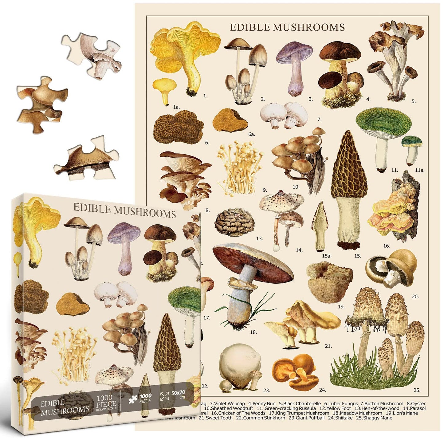 Vintage Mushroom Puzzle 1000 Pieces For Adult, Vintage Fungi Jigsaw Puzzle Of 25 Edible Mushrooms, Champignons Plant Puzzle For Mycophile