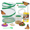 Insect Lore Butterfly Garden - 12 Live Caterpillar Habitat & STEM Education Kit - Green, Original Design