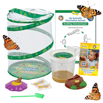 Insect Lore Butterfly Garden - 12 Live Caterpillar Habitat & STEM Education Kit - Green, Original Design