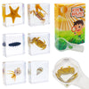 6 Pcs Marine Life Specimen Set,Hermit Crab,Fiddler Crab,Starfish,Nassariidae,Sea Cucumber, Chiromantes Dehaani Resin Collection Science Toys