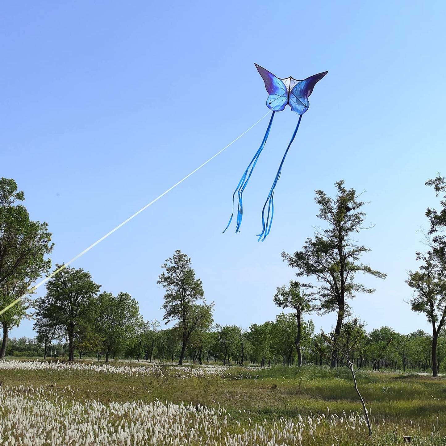 Kaiciuss 2 Pack Butterfly Kites For Kids And Adults Easy To Fly, Large Single Line Beach Kite For Teens, Easy Flying Kite For Boys And Girls
