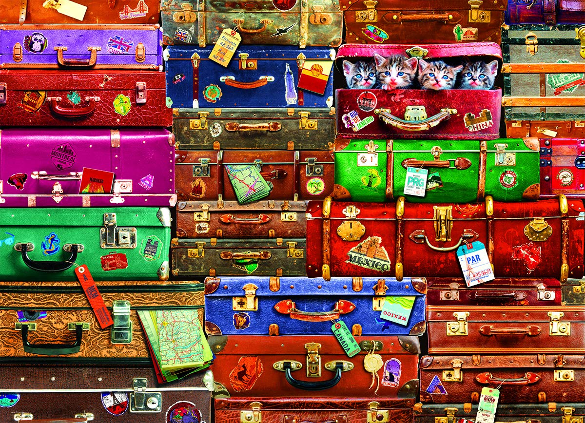 Travel Suitcases