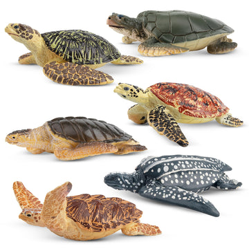 Toymany 6PCS Sea Turtle Figurines Set - Realistic Plastic Ocean Animals for Kids, Educational Toy, Cake Toppers, Birthday Gift