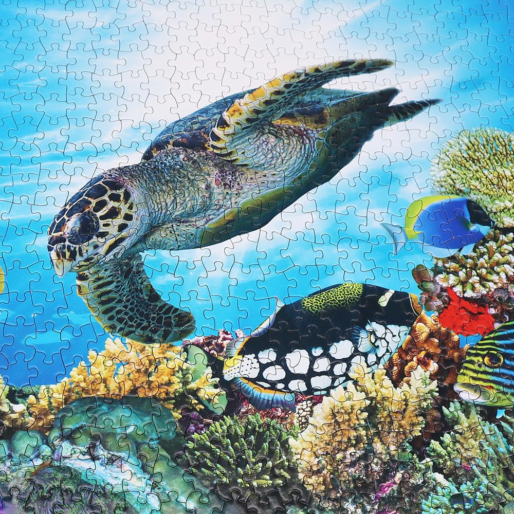Beduke Jigsaw Puzzles For Adults 1000 Pieces Ocean Animals Thick Sturdy Cardboard Precise Interlocking 1000 Piece Puzzle Age 14+ Family Game