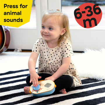 Baby Einstein Discovery Radio Toy - Music & Lights, Small, Blue/Wood, Model 17011, Ages 6 Months+
