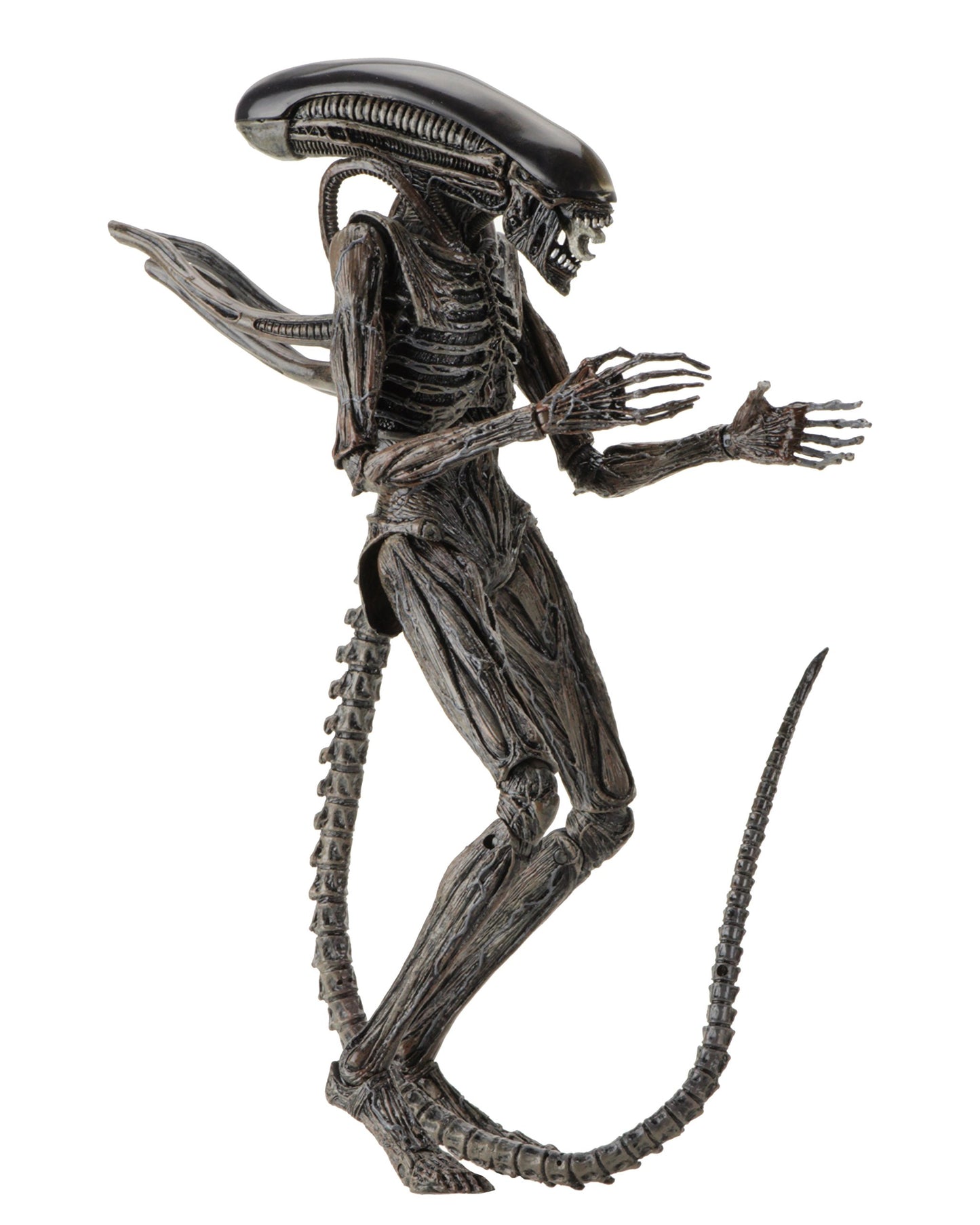 Neca Alien: Covenant - 7' Scale Action Figure - Xenomorph Action Figure