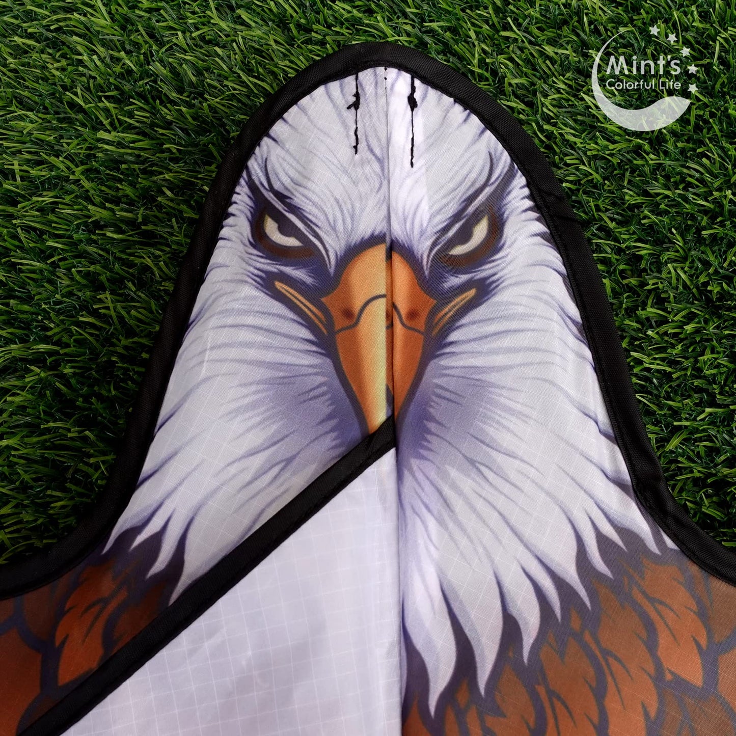 Eagle Kite For Kids Adults With 60' Wingspan