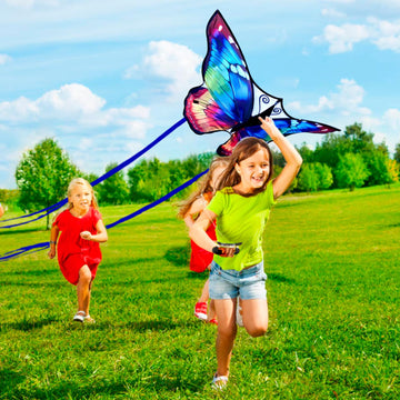 Beautiful Butterfly Kites For Kids & Adults Easy To Fly