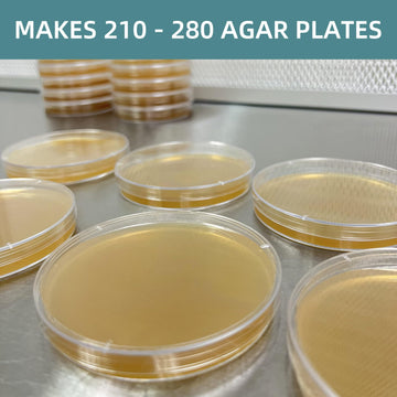 142 Grams Nutrient Agar Powder, Makes Over 210 To 280 Agar Petri Dishes, Easy To Use, Suitable For Scientific Research, Educatio