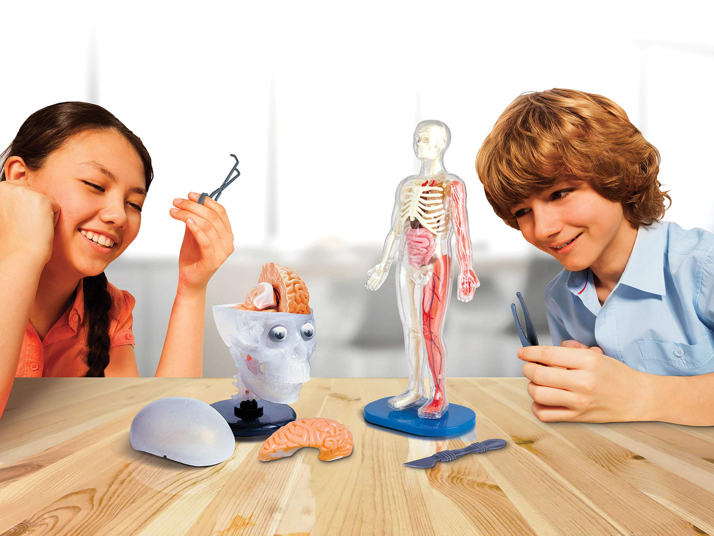 SmartLab Toys Human Body Model - 60 Pieces, 36 Removable Parts, 12" Size, Multi Color, Includes Illustrated Book & Glowing Eyeballs