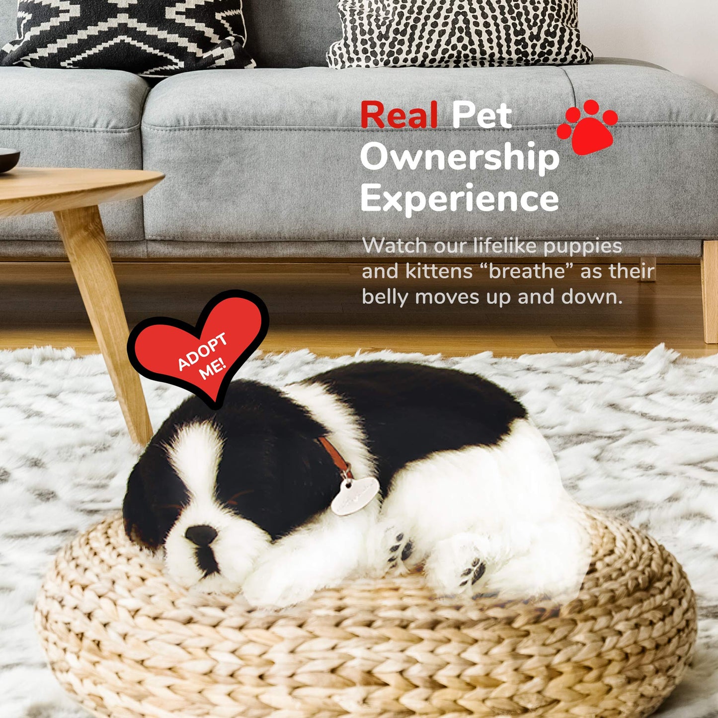 Border Collie - Pet Mate/Nap Breathing Life Like Sleeping Dog In Bed Sleeping Pet