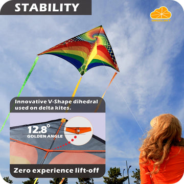 ORGCLDKT-Rainbow Cruiser Delta Kite, Kites for Kids Ages 8-12,4-8,Boys,Girls,Kites for Adults,Beach,Beginners,Giant.1Pc or 3Pcs