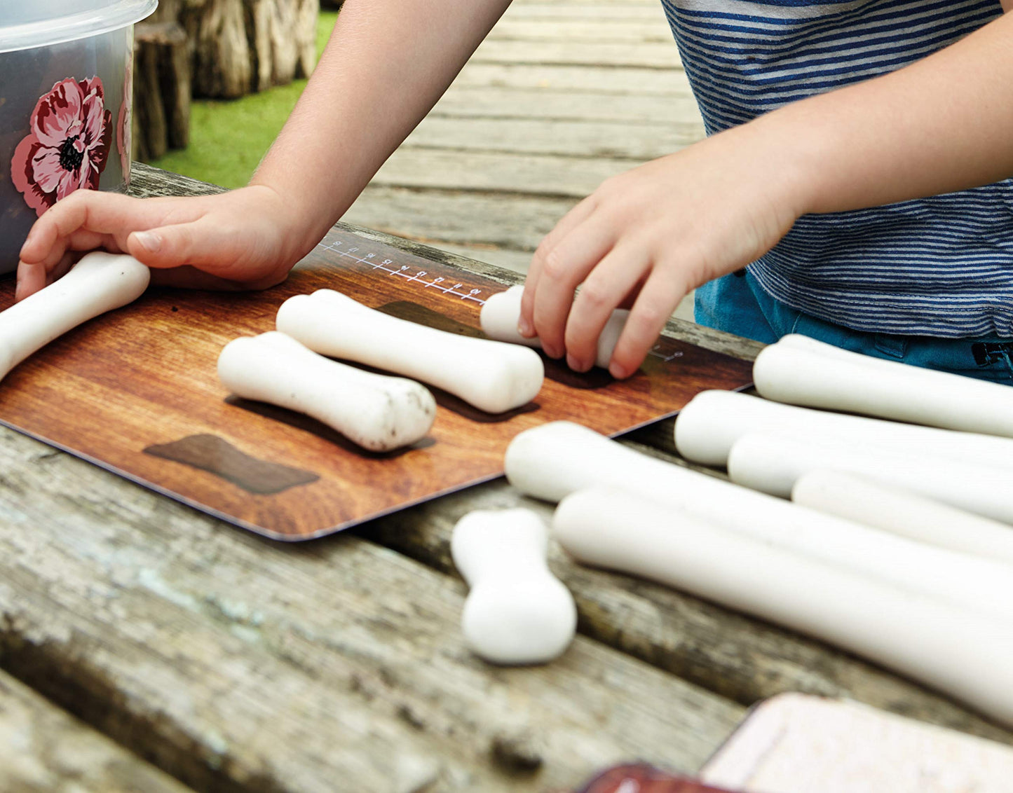 Dinosaur Bones Match & Measure Set