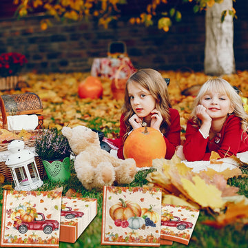 40 Pcs Fall Napkins, Fall Party Decorations Pumpkin Napkins, Thanksgiving Party Supplies Maple Leaf Napkins, Autumn Harvest Napk