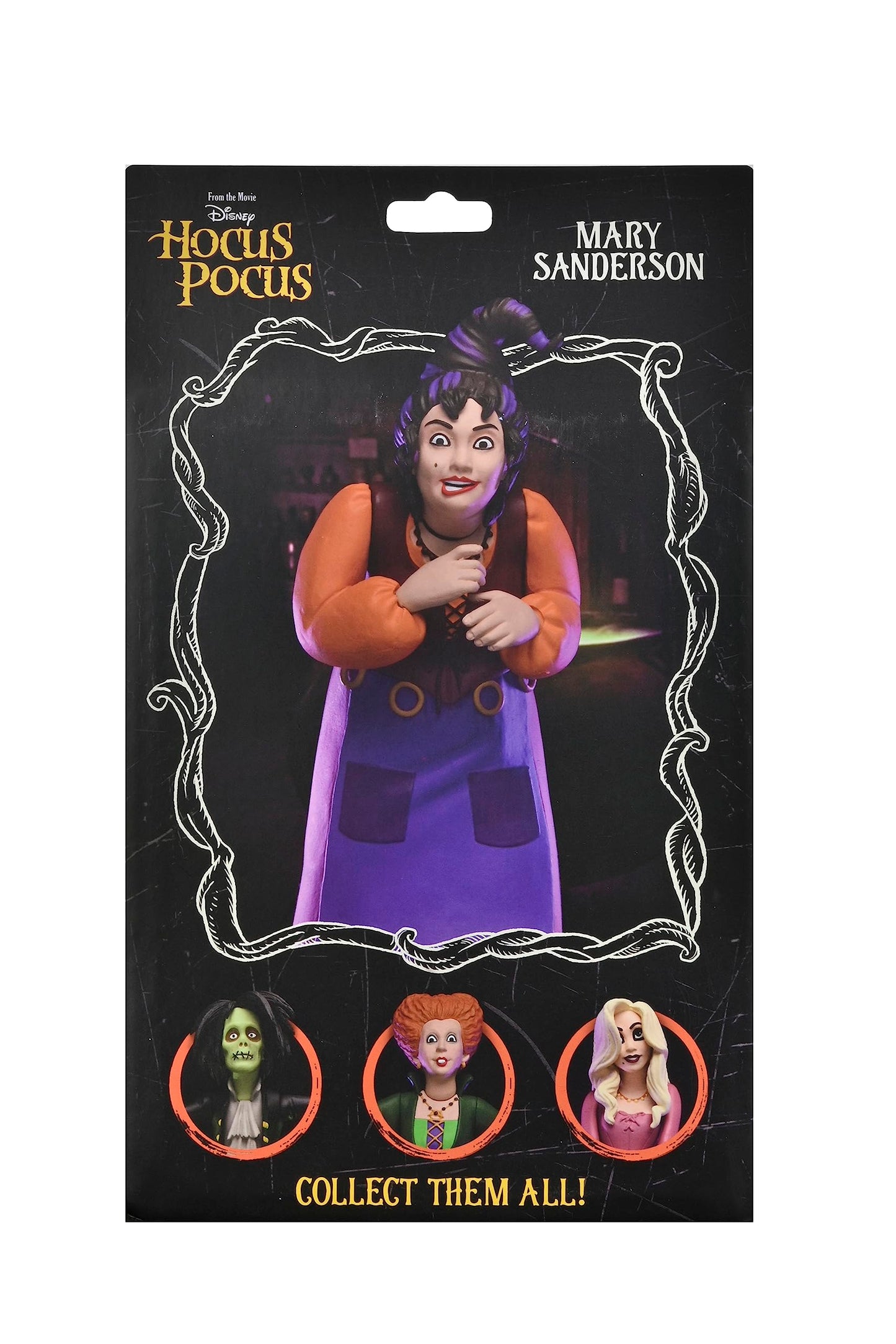 Neca Hocus Pocus: Toony Terror Mary Sanderson 6'' Action Figure