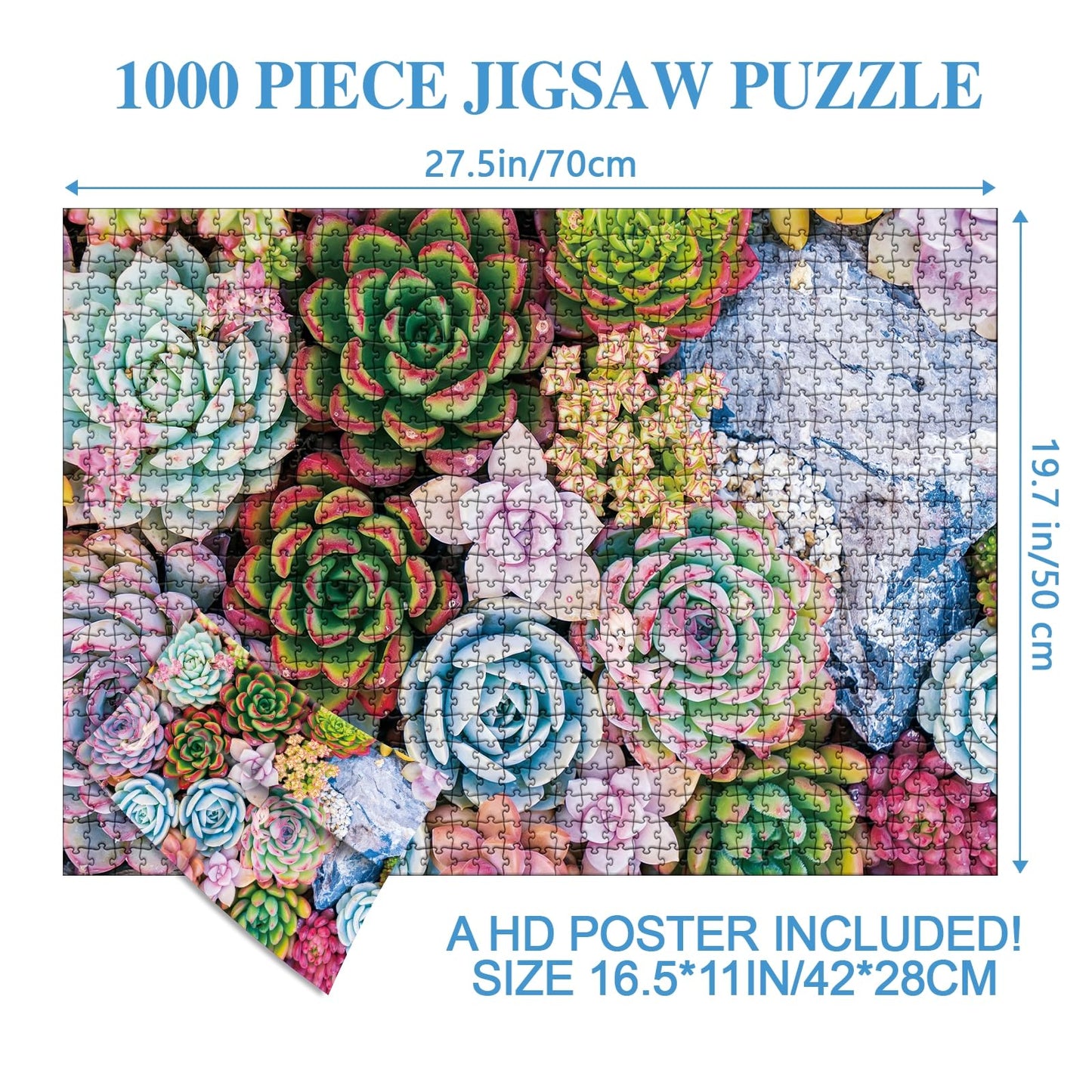 Buhah Succulent Jigsaw Puzzles Plant Puzzle 1000 Pieces For Adults Colorful Jigsaw Puzzles Botanical Puzzle Nature Collage Puzzl