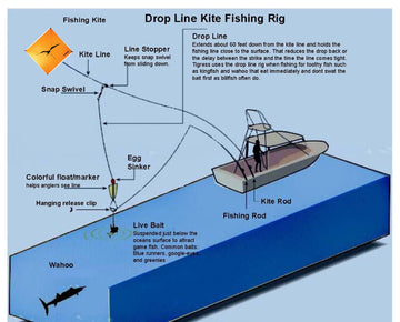 Tigress Kite Fishing Line Markers, 3 Included, Weighted Medium