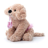 The Petting Zoo Ballerina Scruffy Dog Plush Toy, 10 Inch Tan Caramel Brown, Polyester Stuffed Animal for Kids