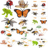 Montessori Life Cycle Animal Figurines Learning & Education Toys, Plastic Insect Snail Ladybug Bee Dragonfly Monarch Butterfly Tadpole To Frog Kit Toy, Preschool Learning Activities Science Toys