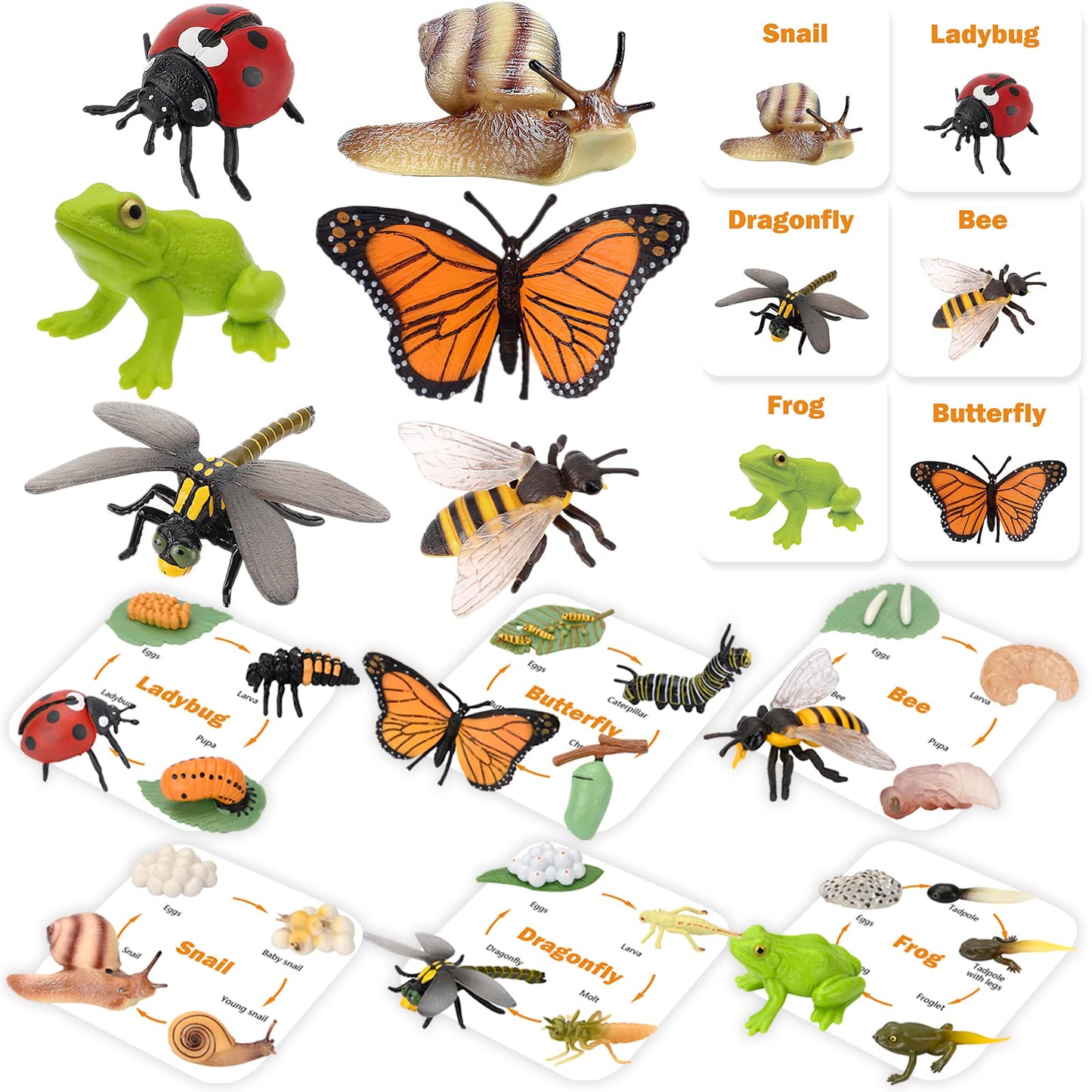Montessori Life Cycle Animal Figurines Learning & Education Toys, Plastic Insect Snail Ladybug Bee Dragonfly Monarch Butterfly Tadpole To Frog Kit Toy, Preschool Learning Activities Science Toys