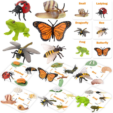 Montessori Life Cycle Animal Figurines Learning & Education Toys, Plastic Insect Snail Ladybug Bee Dragonfly Monarch Butterfly Tadpole To Frog Kit Toy, Preschool Learning Activities Science Toys