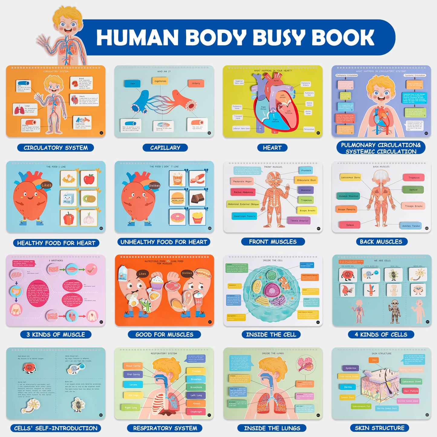 Freebear Montessori Busy Book - Human Body Anatomy for Toddlers, Sensory Learning Activities, Gifts for Kids 4-7 Years, Medium Size