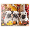 MyPuzzle Pug Puppies - enhanced 100 Piece Jigsaw Puzzle - Made in USA